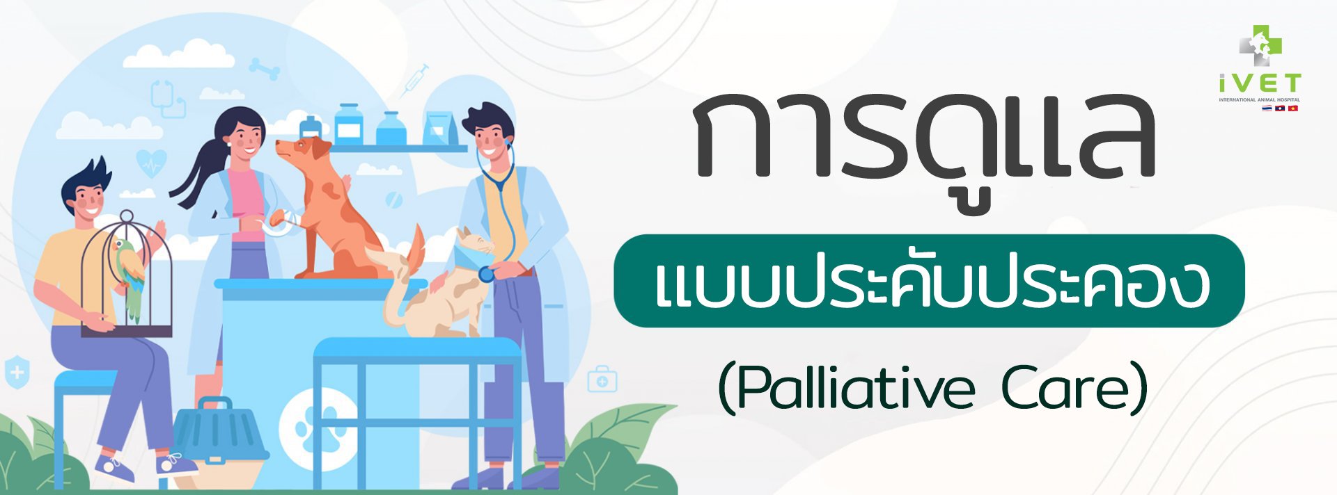 Palliative Care